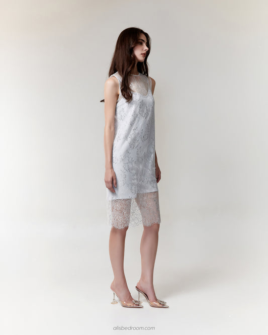 Henrietta Lace Overlay Dress